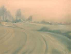 1988 - 50x65cm - Pastel