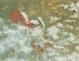 1989 - 50x65cm - Pastel