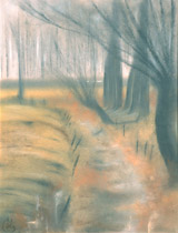 1987 - 65x50cm - Pastel