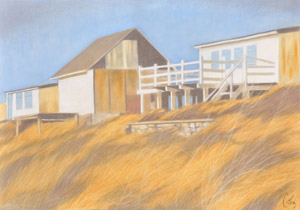 2007 - 70x100cm - Pastel