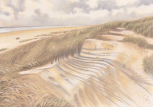 2007 - 70x100cm - Pastel