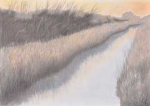 2007 - 70x100cm - Pastel