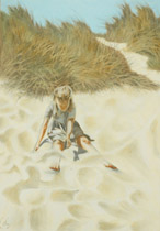 2008 - 100x70cm - Pastel