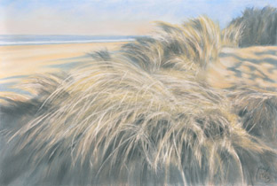 2009 - 75x110cm - Pastel