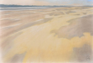 2009 - 75x110cm - Pastel