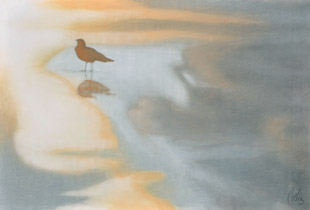 2009 - 75x110cm - Pastel