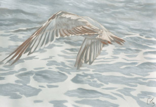 2009 - 75x110cm - Pastel