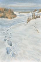 2010 - 110x75cm - Pastel