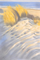 2010 - 110x75cm - Pastel