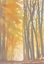 2012 - 110x75cm - Pastel