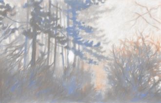 2020 - 48x75 - Pastel