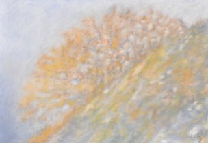 2023 - 75x110 - Pastel