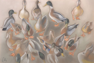 1996 - 75x110cm - Pastel