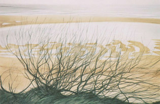 2002 - 75x110cm - Pastel