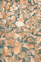 2002 - 110x75cm - Pastel