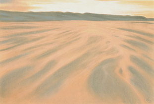 2002 - 75x110cm - Pastel