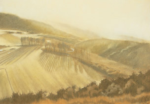 2005 - 70x100cm - Pastel