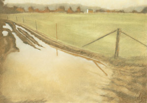 2005 - 70x100cm - Pastel