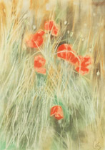 2005 - 100x75cm - Pastel