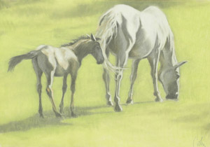 2005 - 70x100cm - Pastel