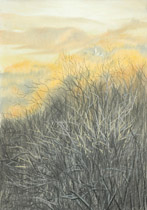 2005 - 100x70cm - Pastel