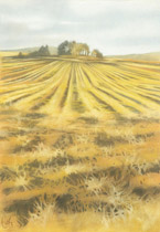 2005 - 100x70cm - Pastel