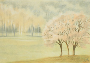 2005 - 70x100cm - Pastel