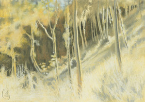 2005 - 70x100cm - Pastel