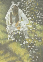 2008 - 100x70cm - Pastel