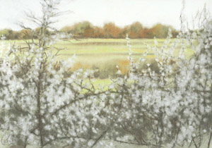 2006 - 70x100cm - Pastel