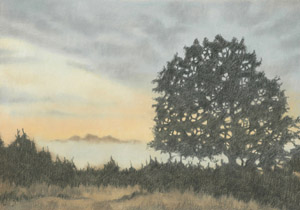 2006 - 70x100cm - Pastel