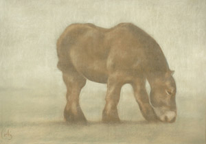 2006 - 70x100cm - Pastel