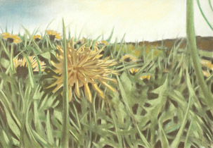 2006 - 70x100cm - Pastel