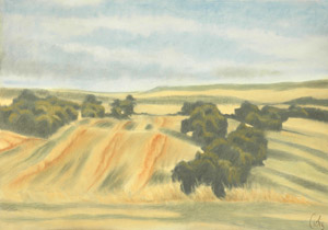 2006 - 70x100cm - Pastel