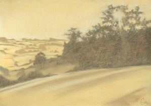 2006 - 70X100cm - Pastel