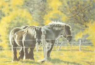 2006 - 70x100cm - Pastel